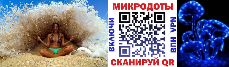 Псилоцибиновые грибы прущие грибы  Купить  Щёлкино 
