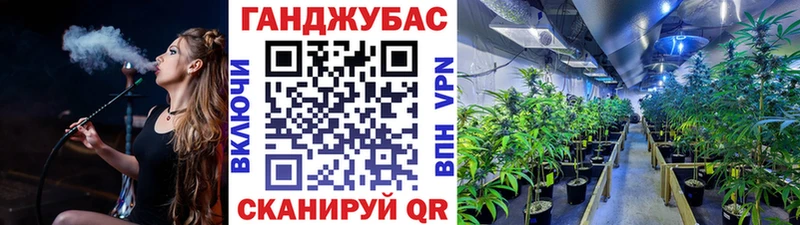 Конопля AK-47  Купить где  Щёлкино 